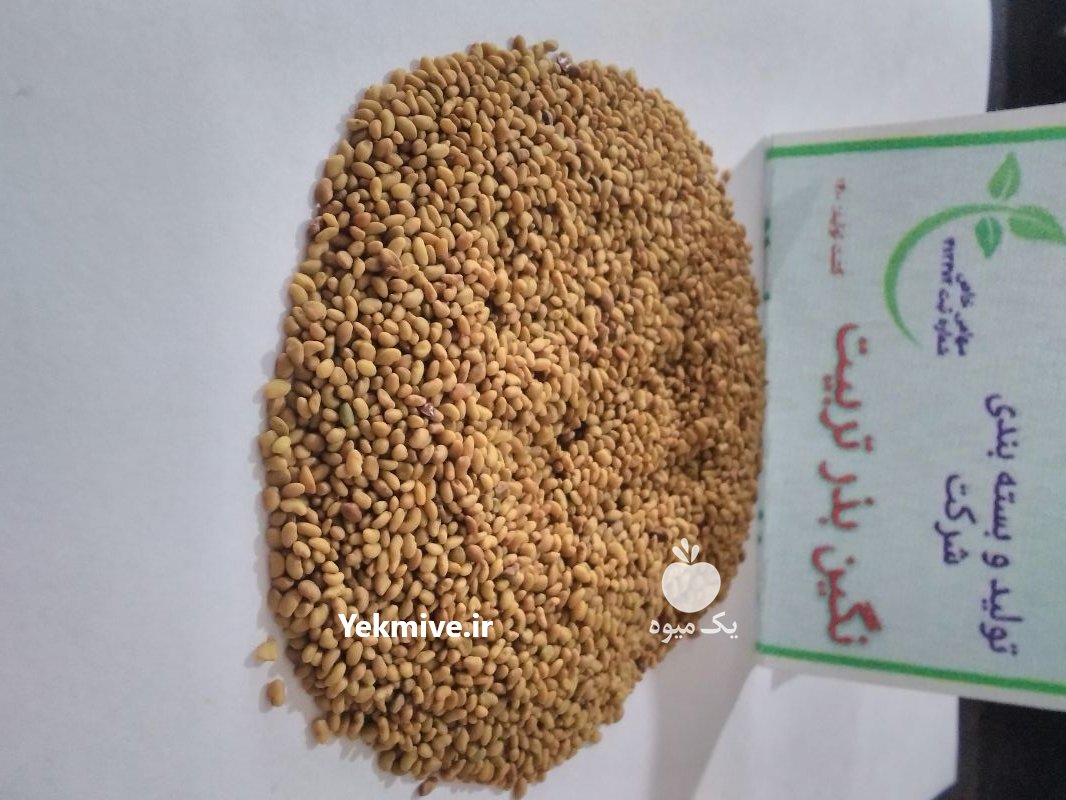 فروش انواع بذر یونجه در تهران در گروه خرید فروش بذر - انواع محصول کشاورزی گوجه کتان میوه درخت در یکمیوه -عکس3