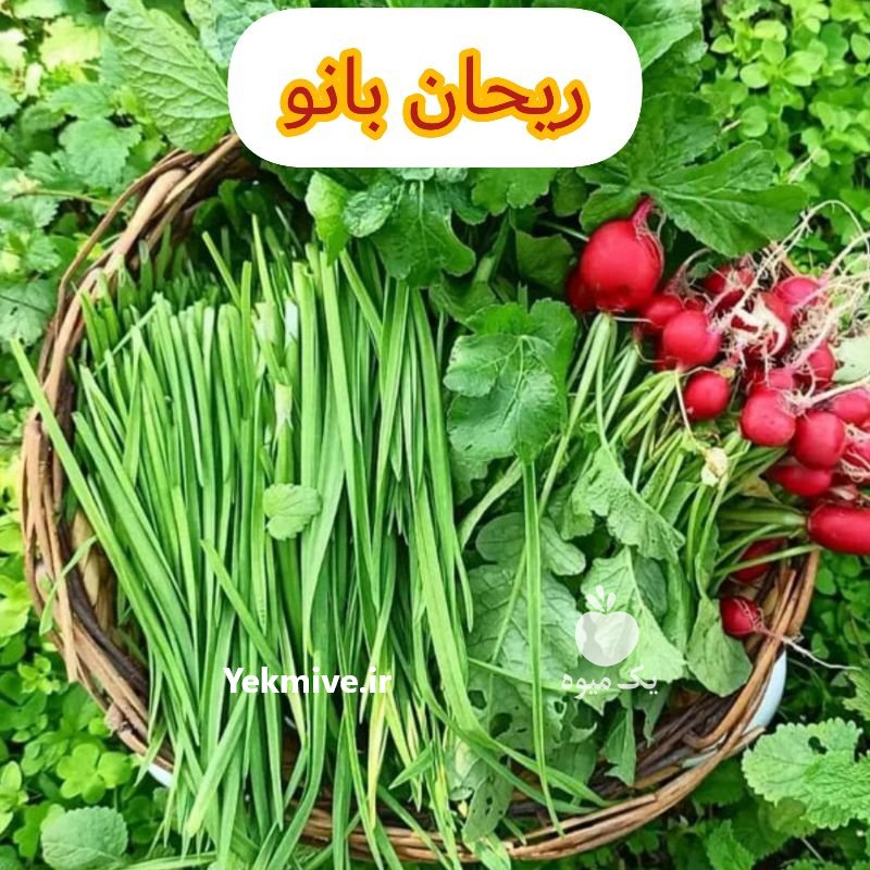 فروش انواع سبزی های تازه و معطر در تهران در گروه خرید فروش عمده انواع سبزی ها در یکمیوه -عکس1