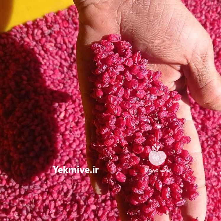 زرشک پفکی سوپر بیرجند در خراسان جنوبی در گروه خرید فروش عمده سایر محصولات باغبانی مرکبات در یکمیوه -عکس1