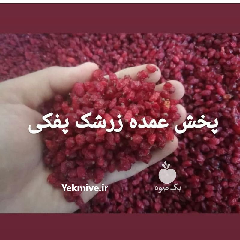 زرشک پفکی سوپر بیرجند در خراسان جنوبی در گروه خرید فروش عمده سایر محصولات باغبانی مرکبات در یکمیوه -عکس4