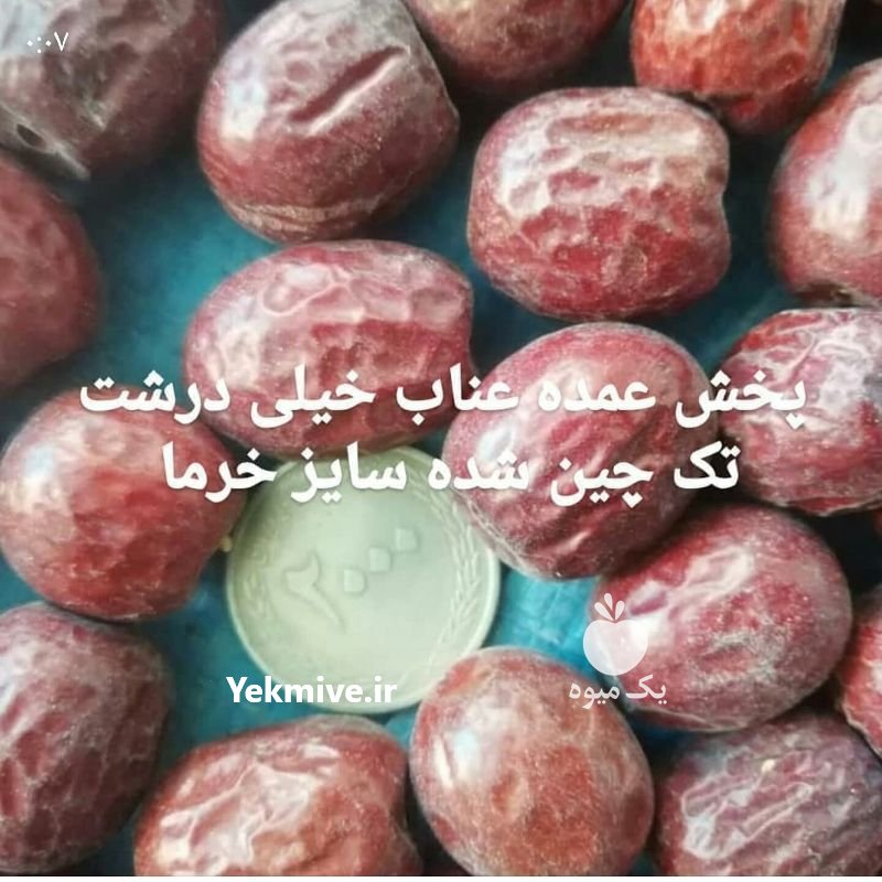 عناب جگری رنگ توپر صاف بیرجند در خراسان جنوبی در گروه خرید فروش عمده سایر محصولات باغبانی مرکبات در یکمیوه -عکس1