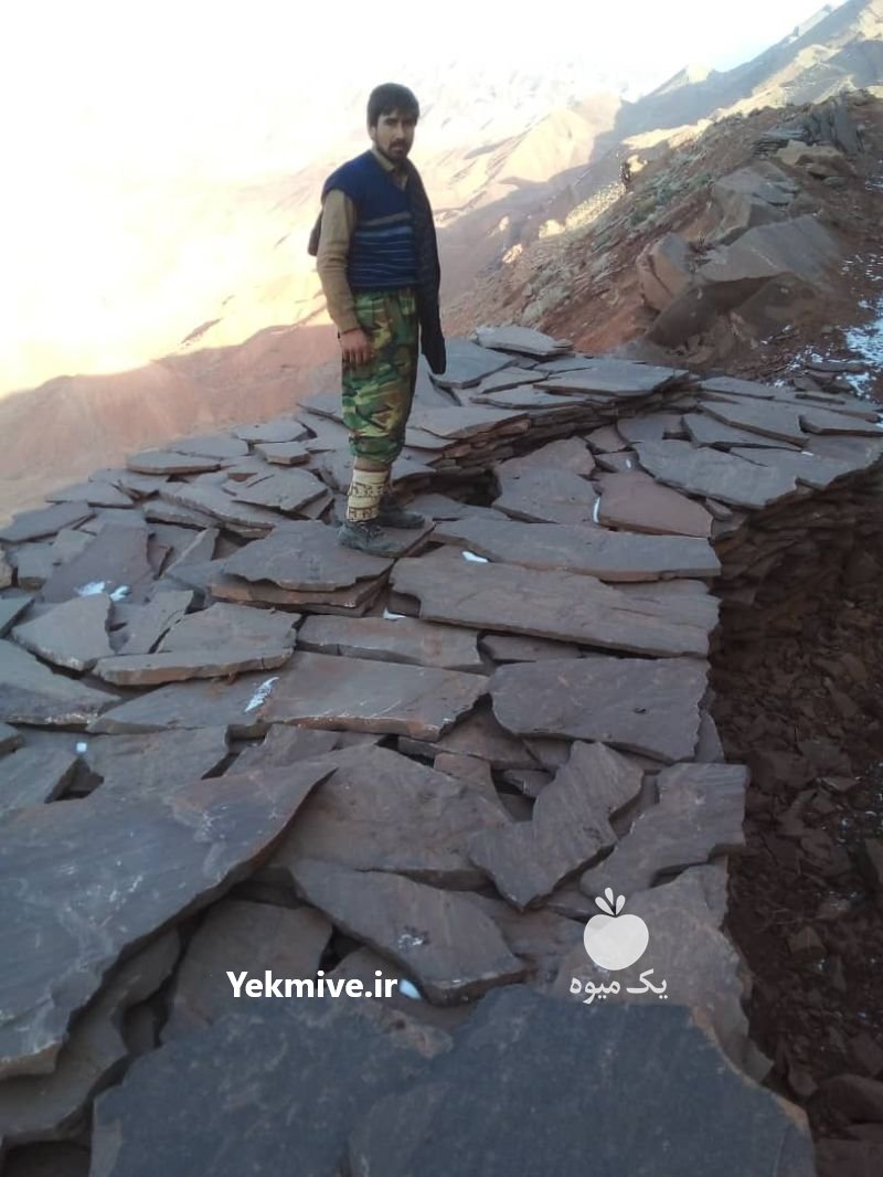 فروش سنگ لاشه مالون در دماوند در گروه مسئول فروش - کارشناس فروش بازاریاب فروشنده در یکمیوه -عکس3