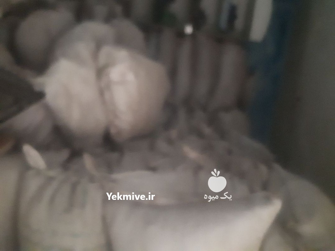 کود گاوی محلی باکیفیت در اندیمشک در گروه خرید فروش کود و مواد شیمیایی - اوره پتاس مرغی کمپوست آهن در یکمیوه -عکس1