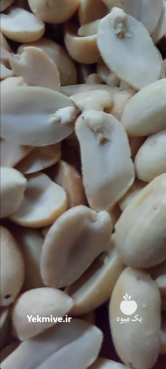 بادام زمینی مخصوص کره در مشهد در گروه خرید فروش عمده دانه های روغنی - کلزا خردل آفتابگردان بادام کنجد سویا در یکمیوه -عکس2