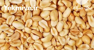 بادام زمینی مخصوص کره در مشهد در گروه خرید فروش عمده دانه های روغنی - کلزا خردل آفتابگردان بادام کنجد سویا در یکمیوه -عکس1