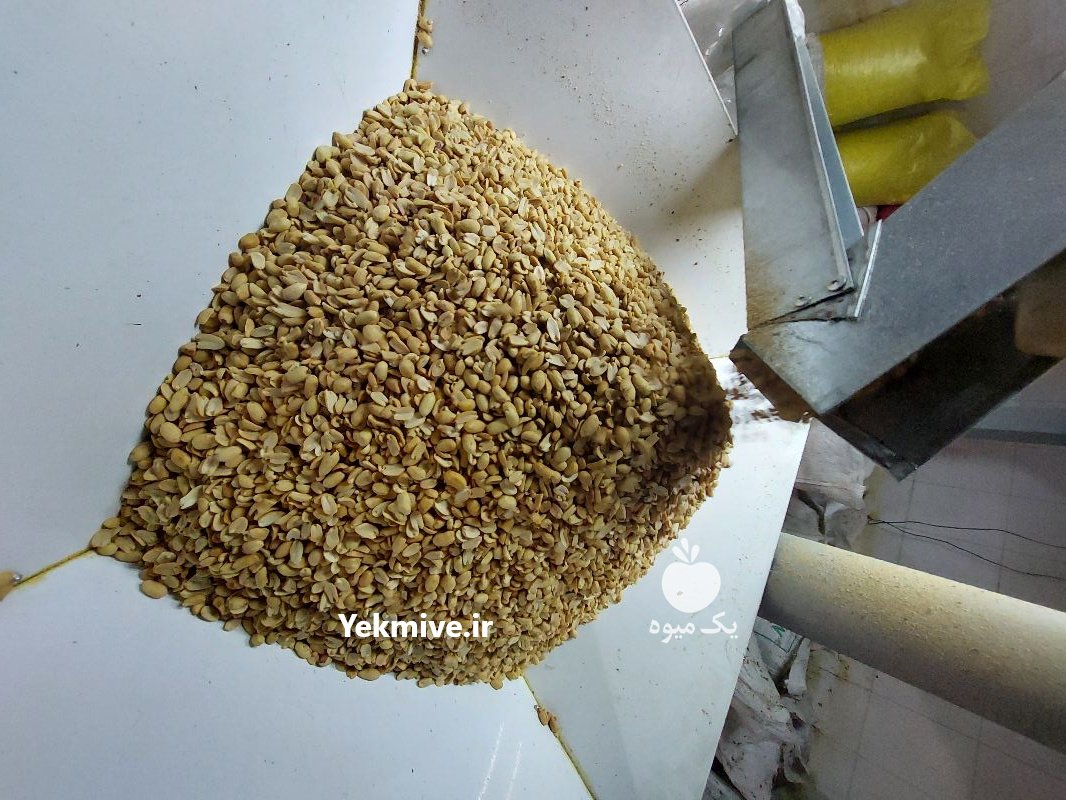 بادام زمینی مخصوص کره در مشهد در گروه خرید فروش عمده دانه های روغنی - کلزا خردل آفتابگردان بادام کنجد سویا در یکمیوه -عکس4