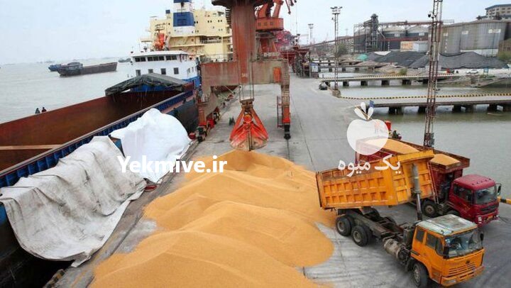 فروش خوراک دام و طیور و آبزیان در اصفهان در گروه خرید فروش عمده گندم و جو - بلغور شیرازی فروش عمده محصول کشاورزی در یکمیوه -عکس2