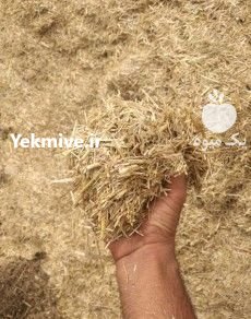 خرید و فروش یونجه و کلش در اصفهان در گروه خوراک دام و طیور - پرواری شیری علوفه یونجه در یکمیوه -عکس1