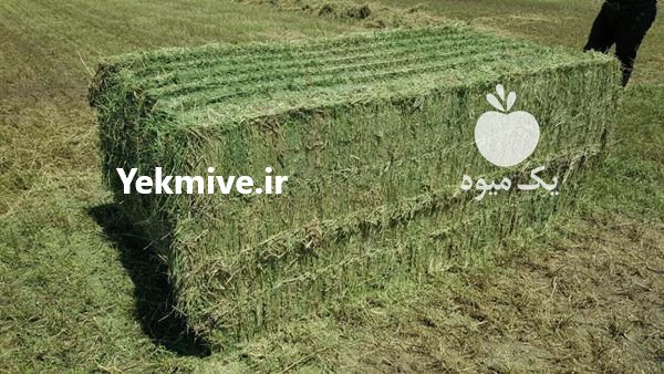 فروش یونجه و پرس کلش در اصفهان در گروه تجهیزات دام و طیور - خرید فروش نو دسته دوم در یکمیوه -عکس2