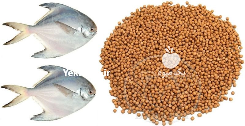 فروش خوراک آبزیان در اصفهان در گروه خوراک شیلات و آبزیان - ماهی گیلان خوزستان چابهار بوشهر در یکمیوه -عکس2