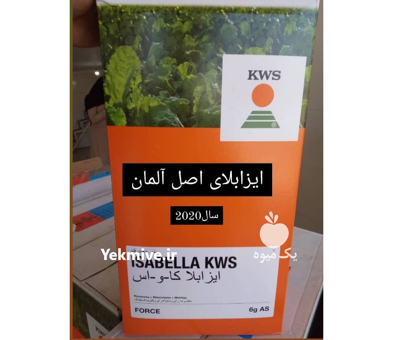 فروش انواع بذر ذرت و چغندر در قم در گروه خرید فروش بذر - انواع محصول کشاورزی گوجه کتان میوه درخت در یکمیوه -عکس1