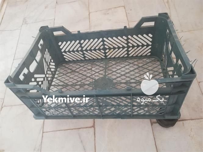 فروش سبد میوه در ایلخچی در گروه خرید فروش انواع سبد - میوه پلاستیکی چوبی گل در یکمیوه -عکس1