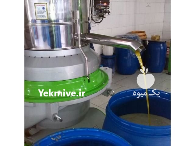 فروش روغن زیتون در رودبار در گروه انواع روغن - آفتابگردان کنجد سویا در یکمیوه -عکس1