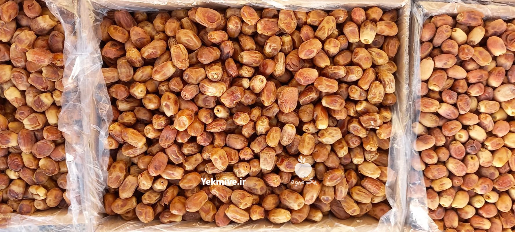 فروش خرما زاهدی درجه یک ایران در اردکان در گروه خرید فروش عمده خرما - کبکاب تازه زاهدی خشک خارک در یکمیوه -عکس2