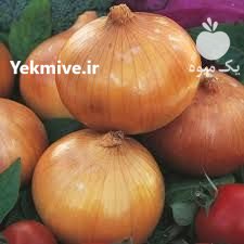 فروش بذر پیاز مینروا در اصفهان در گروه خرید فروش عمده سایر محصولات گلخانه ای در یکمیوه -عکس1