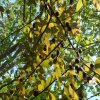 سلام داداش خوبی ملک چقدر است وه اجاره چند