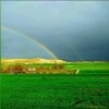 userpic