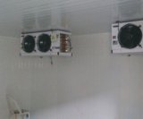 آگهی مشابه اجاره سرخانه در اصفهان در گروه سردخانه در یکمیوه