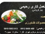 آگهی مشابه حق العمل کاری بار فروشی رحیمی عرضه مستقیم محصولات کشاورزی (09195003813) میدان تره بار مرکزی تهران در گروه حق العمل کاری در یکمیوه