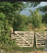 آگهی مشابه فروش زمین در بافت روستا در گروه زمین کشاورزی در یکمیوه