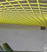 آگهی مشابه تعدادی مرغ عشق جوان در گروه پرنده های زینتی در یکمیوه