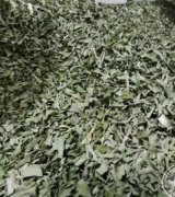 آگهی مشابه سبزی خشک در گروه سبزی های برگی در یکمیوه