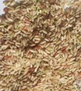 آگهی مشابه برنج سبوس دار فضیلت فیض فروش در گروه برنج در یکمیوه