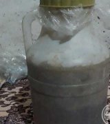 آگهی مشابه فروش عسل کوهی اصل در گروه عسل و فرآورده ی مربا در یکمیوه