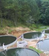 آگهی مشابه فروش استخر پیش ساخته پرورش ماهی در گروه تجهیزات ماهیگیری در یکمیوه