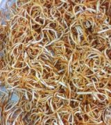 آگهی مشابه فروش خلال پرتقال خانگی در گروه میوه های خشک در یکمیوه