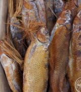 آگهی مشابه فروش انواع ماهی دودی در گروه انواع ماهی در یکمیوه