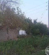 آگهی مشابه فروش باغچه در گروه باغ و باغچه در یکمیوه