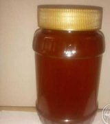 آگهی مشابه فروش عسل صددرصد طبیعی کوهستان در گروه عسل و فرآورده ی مربا در یکمیوه