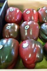 آگهی مشابه فلفل دلمه رنگی صادرات روسی مورد نیاز است در گروه فلفل در یکمیوه