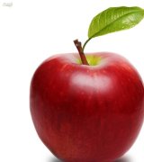 آگهی مشابه فروش سیب سرخ پادنا منطقه سمیرم در گروه انواع سیب زرد و قرمز در یکمیوه