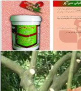 آگهی مشابه چسب باغبانی حاوی قارچ کش و باکتری کش در گروه ابزار ها و تجهیزات کشاورزی در یکمیوه