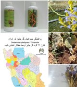 آگهی مشابه علف کش اُرگانیک در گروه سموم کشاورزی در یکمیوه