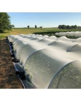 آگهی مشابه گوجه دافنیس صادراتی در گروه گوجه / فرنگی سبز قرمز سیاه کبابی رب ربی در یکمیوه