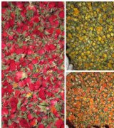 فروش غنچه(سرگل) خشک گل رز در گروه گیاهان دارویی - معطر خشک خواص دار در یکمیوه