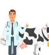 آگهی مشابه استخدام دامپزشک در گروه سایر استخدام در یکمیوه