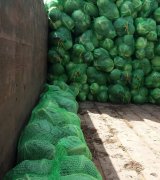 آگهی مشابه فروش کلم برگ با توری سی کیلویی در گروه انواع کلم برگ و پیچ و بروکلی در یکمیوه