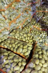 آگهی مشابه فروش سیب زمینی سورت شده در گروه سیب زمینی - زودرس دیررس آگریا اسپریت اردبیل همدان در یکمیوه