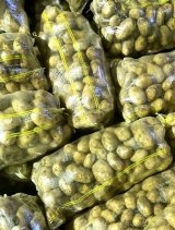 آگهی مشابه فروش 3 تن سیب زمینی بامبا در گروه سیب زمینی - زودرس دیررس آگریا اسپریت اردبیل همدان در یکمیوه