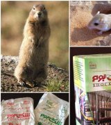 آگهی مشابه نانوپودر کشنده موش شوک بوم در گروه سموم کشاورزی در یکمیوه