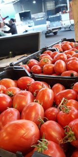 آگهی مشابه فروش انواع گوجه فرنگی در گروه گوجه - فرنگی سبز قرمز سیاه کبابی رب ربی در یکمیوه