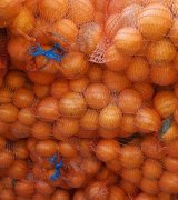 آگهی مشابه فروش پرتقال تازه و آبدار شمال در گروه پرتقال - رسمی تامسون خونی در یکمیوه