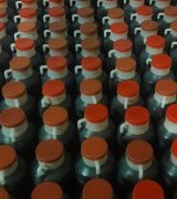 آگهی مشابه فروش و پخش عمده انواع شیره انگور و شیره خرما و توت و انجیر در گروه انواع آبمیوه ها و آبگیری ها - میوه کنسانتره فروش مستقیم در یکمیوه