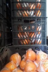 آگهی مشابه پرتقال انباری گرما درمانی شده در گروه پرتقال - رسمی تامسون خونی در یکمیوه