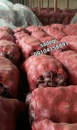 آگهی مشابه فروش پیاز قرمز صادراتی بناب پیاز طلایی صادراتی پیاز سفید صادراتی در گروه پیاز - قرمز سفید زرد ترشی تازه انباری در یکمیوه