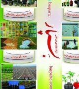 آگهی مشابه شرکت بسپار بذر جهت فروش در گروه بذر - انواع محصول کشاورزی گوجه کتان میوه درخت در یکمیوه